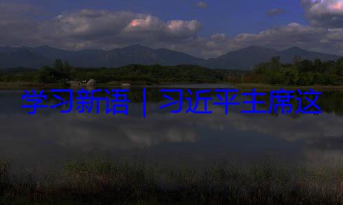 这样阐释上学习新语习近平主席合合作之道